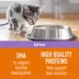 Simply Nourish® Source Kitten Cat Wet Food - 3 Oz, High-Protein, Pate, Grain Free image thumbnail 3