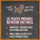 Product Merrick® Lil' Plates® Small Breed Chicken Flavor Adult Dry Dog Food - Corn Free, Gluten Free