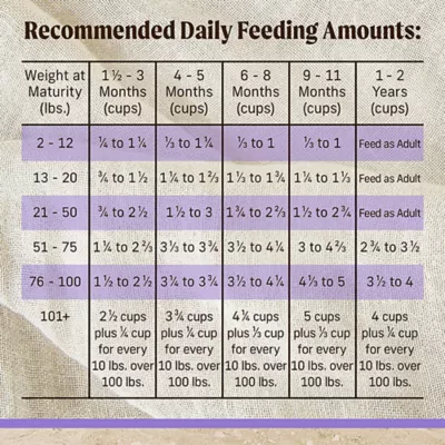 Product Merrick® Healthy Grains Puppy Dry Dog Food - Chicken