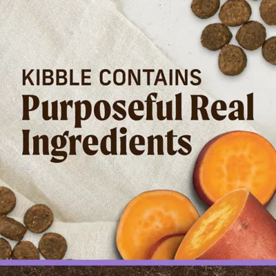 Product Merrick® Grain Free® Puppy Dry Dog Food - Real Chicken & Sweet Potato