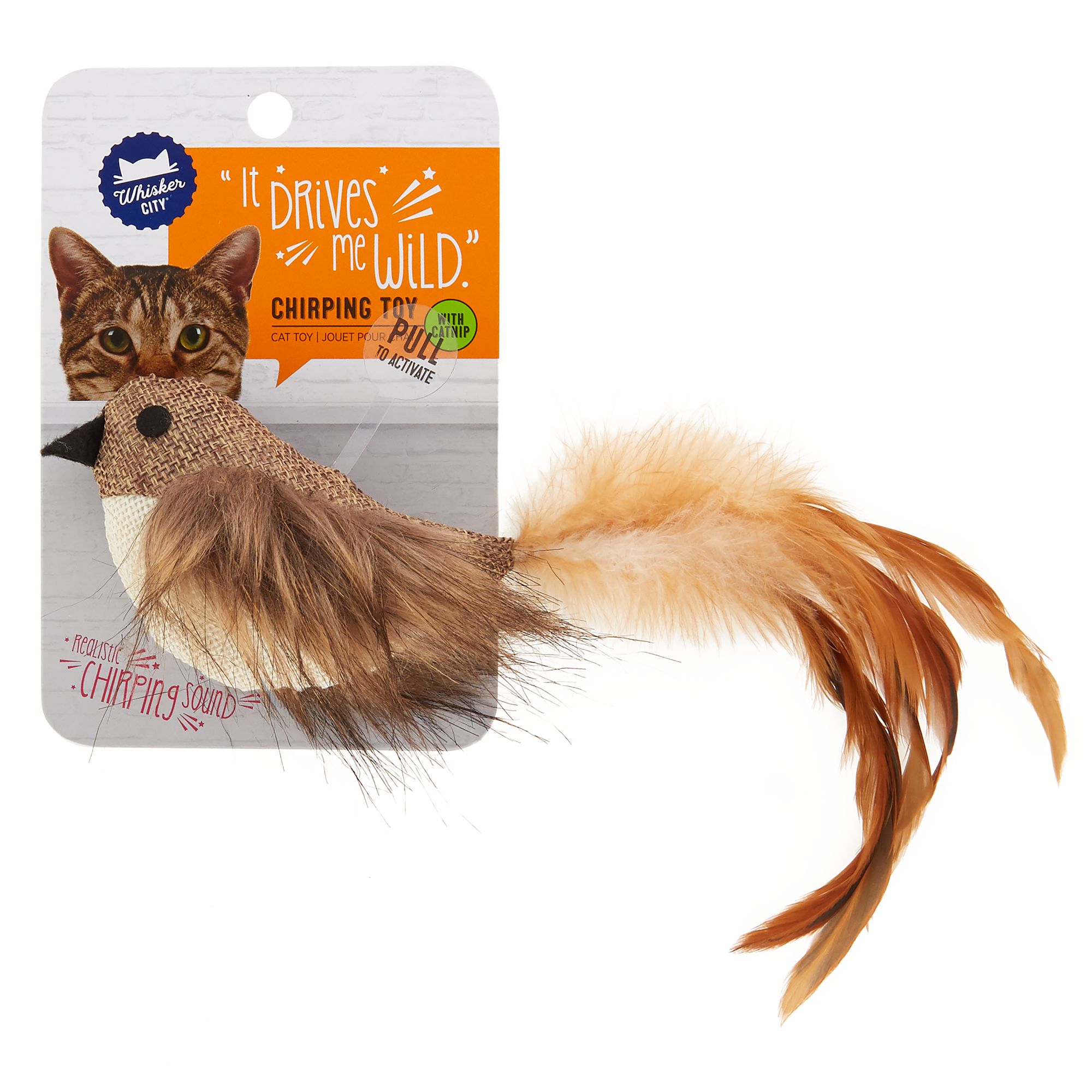 tweeting bird cat toy