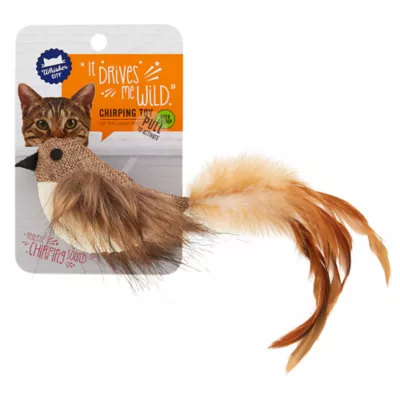 Cat toy with sound best sale