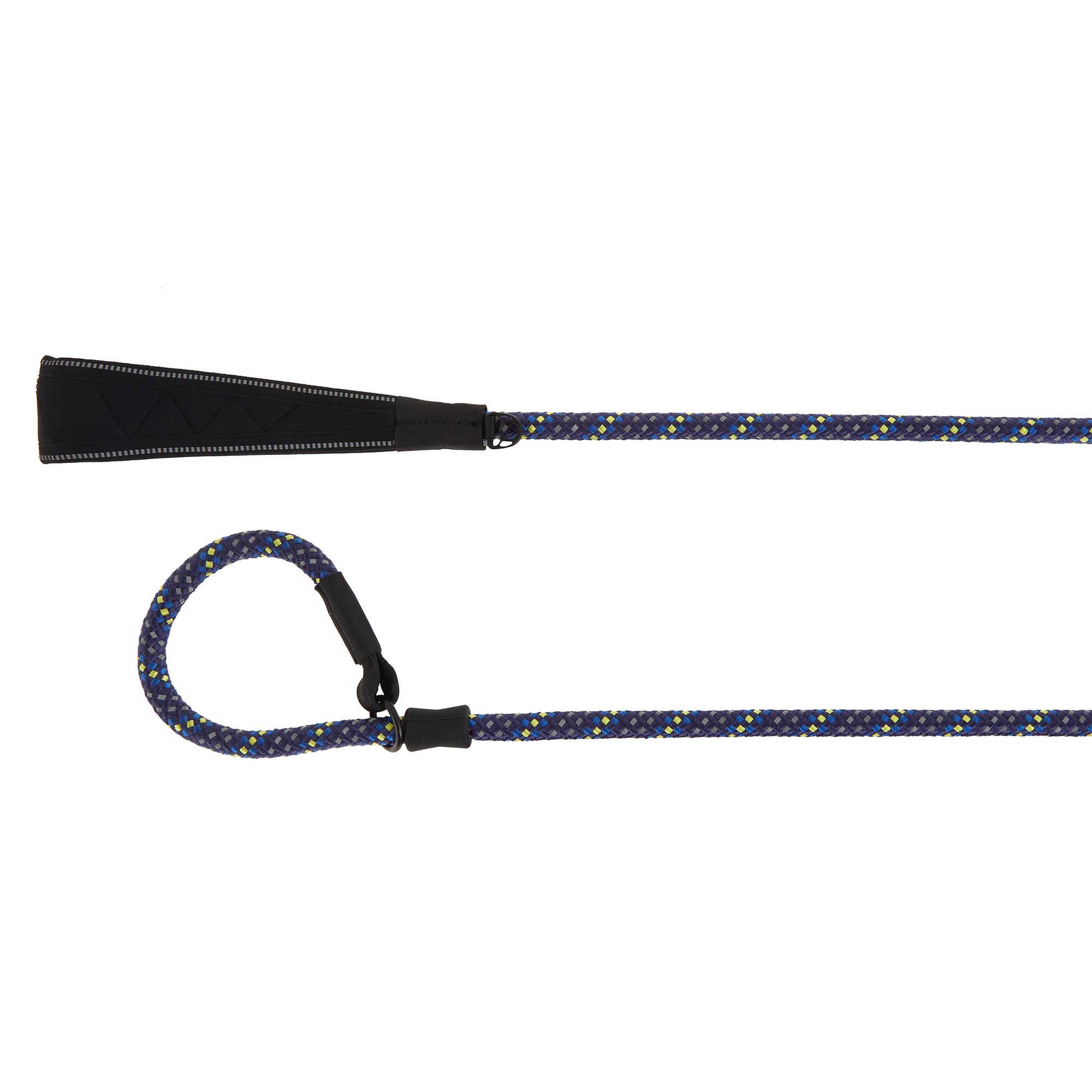 training leash petsmart