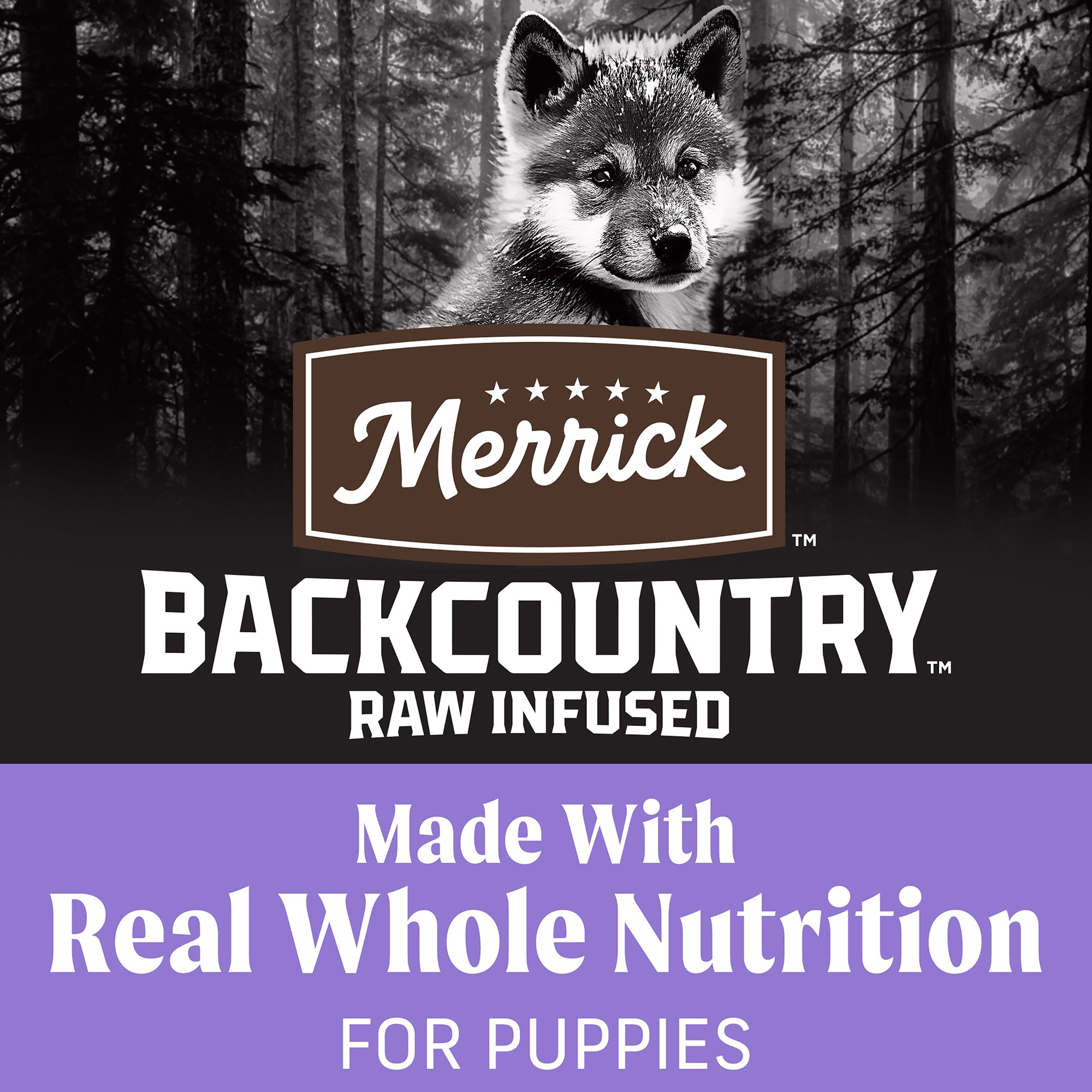 backcountry puppy food