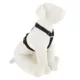 Product Top Paw® Signature Dog Harness