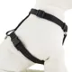 Product Top Paw® Signature Dog Harness