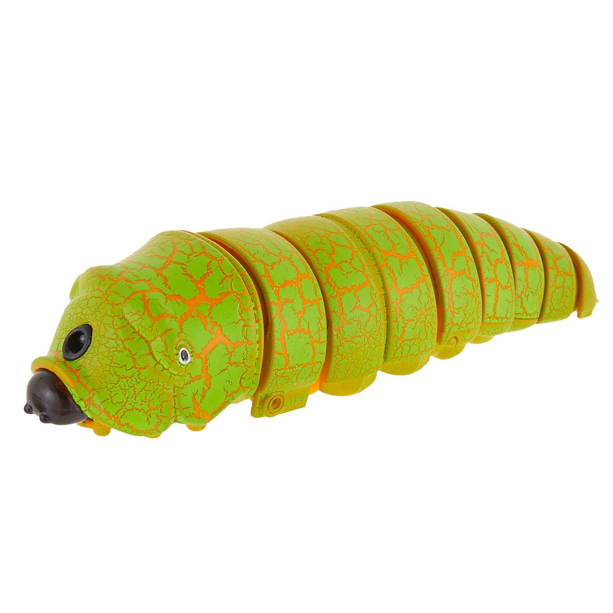 caterpillar cat toy
