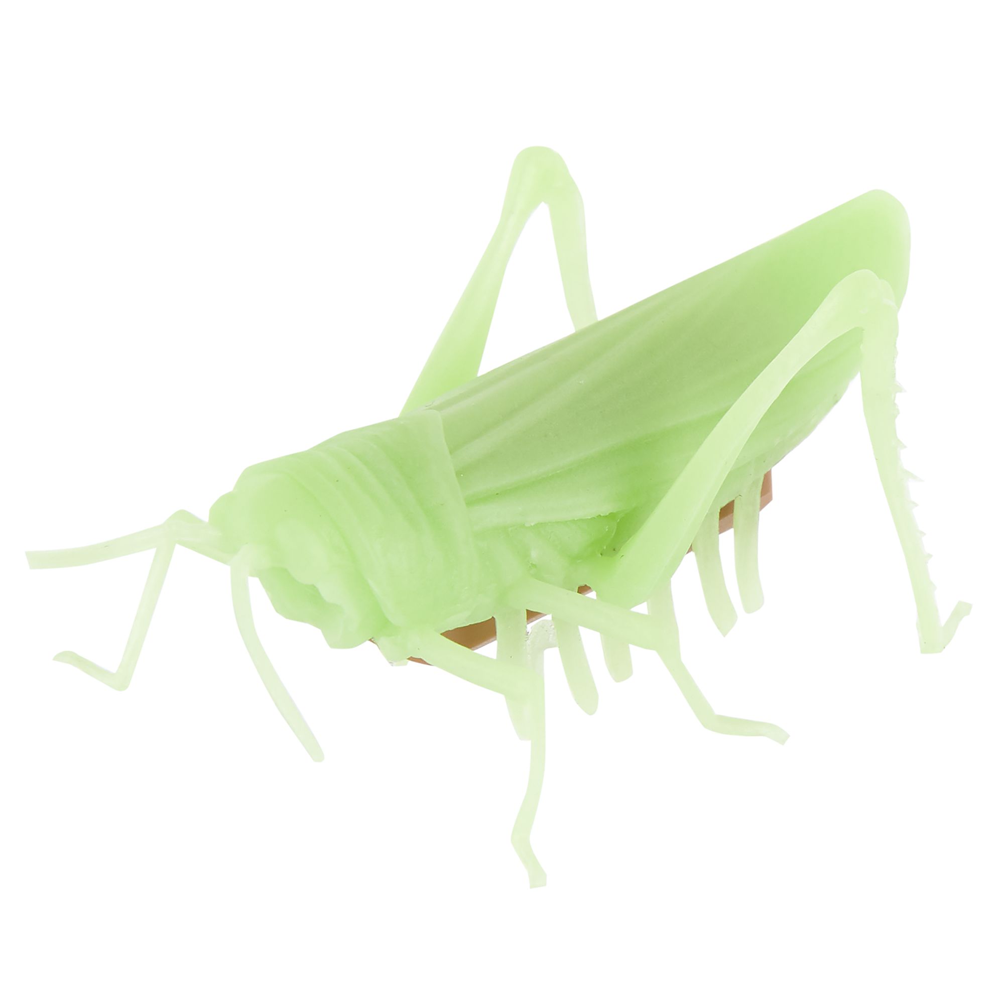 grasshopper toy