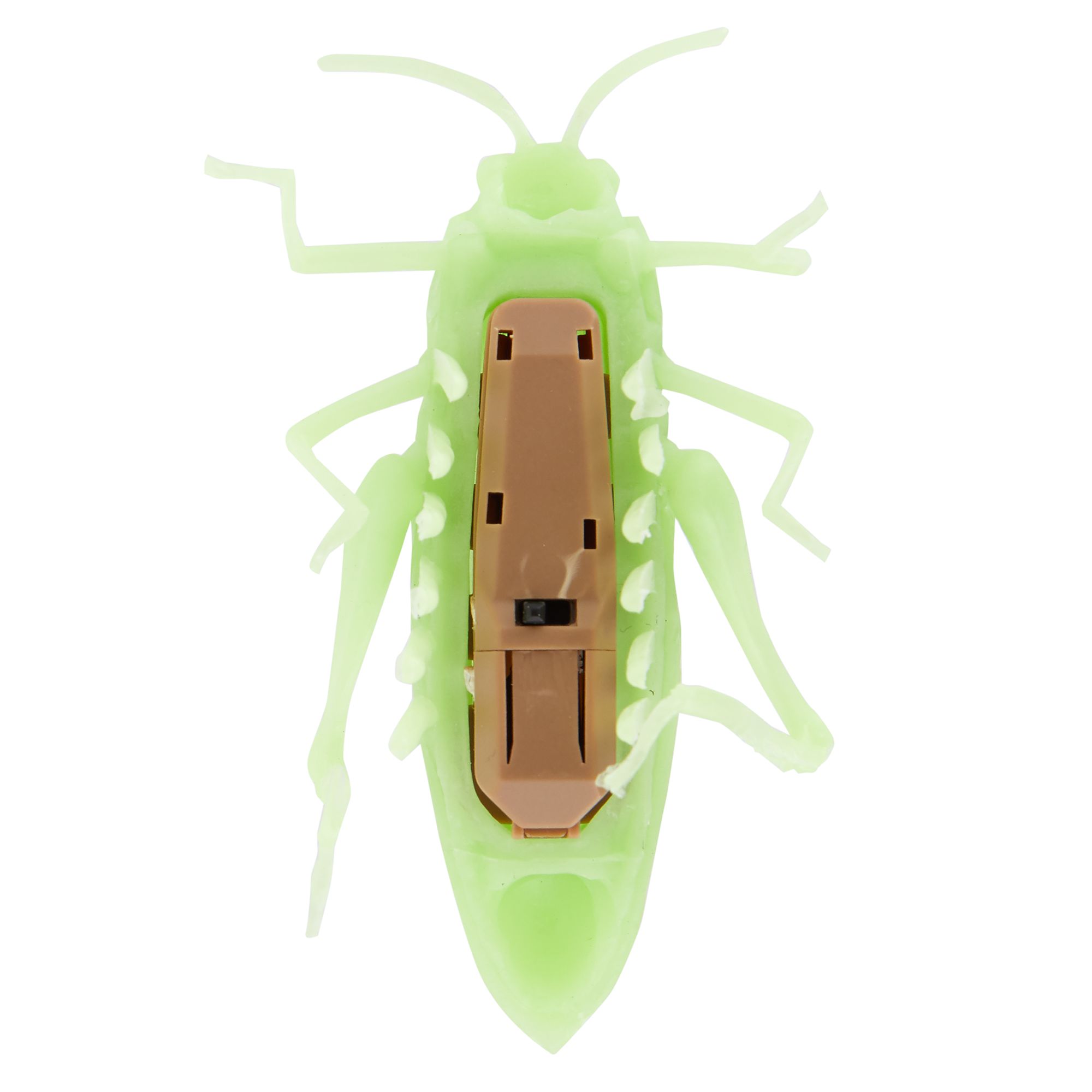whisker city crawl and glow bug