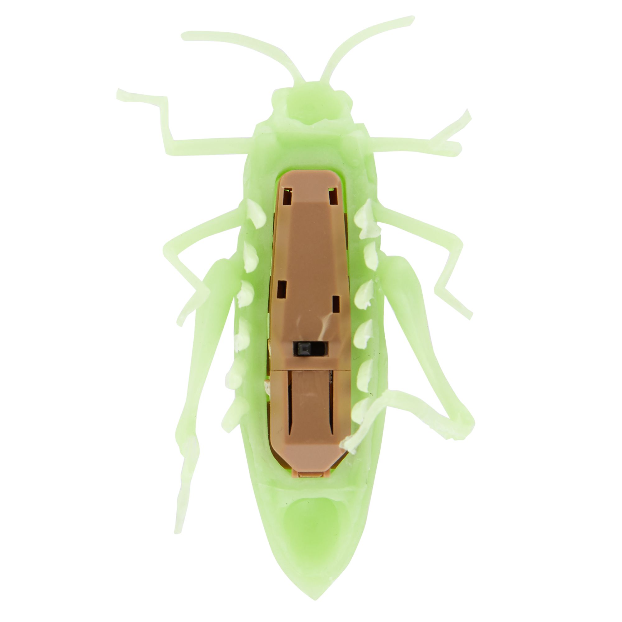 crawling bug toy