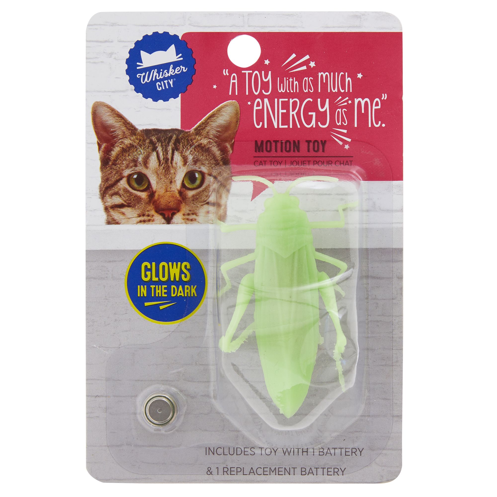 motion cat toy