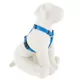 Product Top Paw® Signature Dog Harness