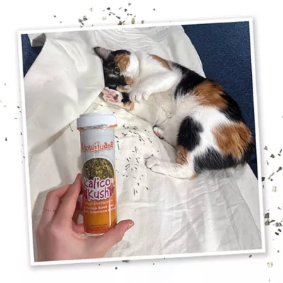Product Meowijuana® Kalico Kush - Valerian Root & Catnip Blend