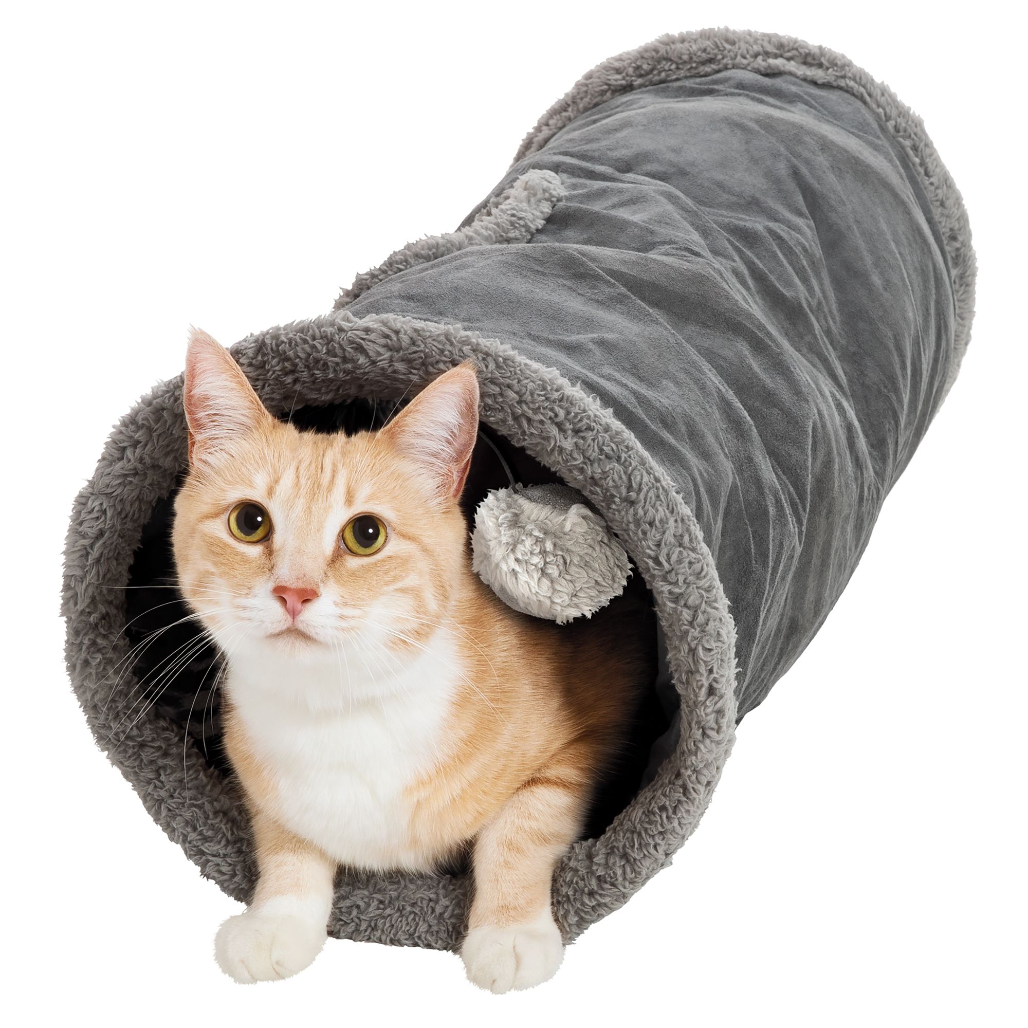 petsmart cat tunnel