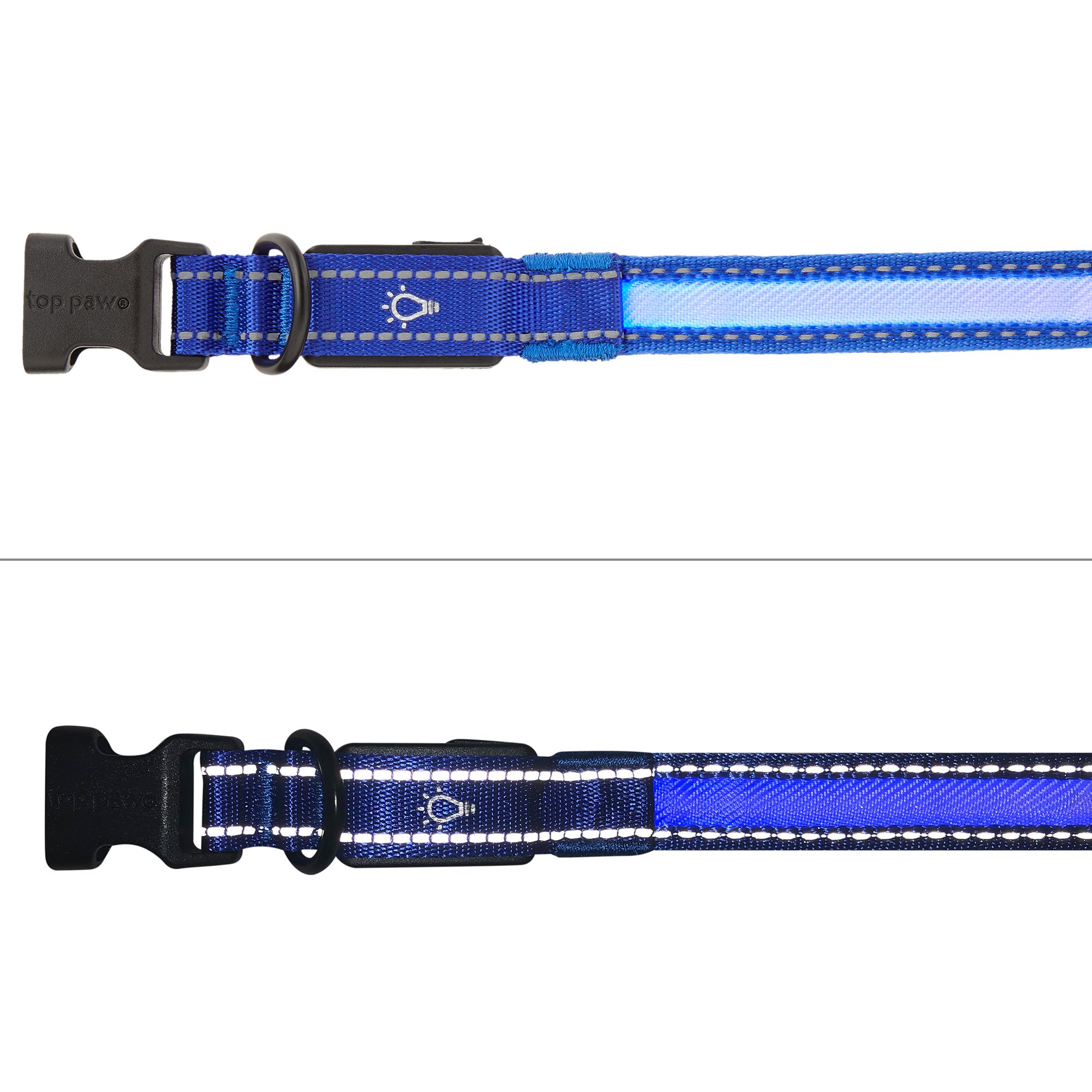 led dog collar petsmart