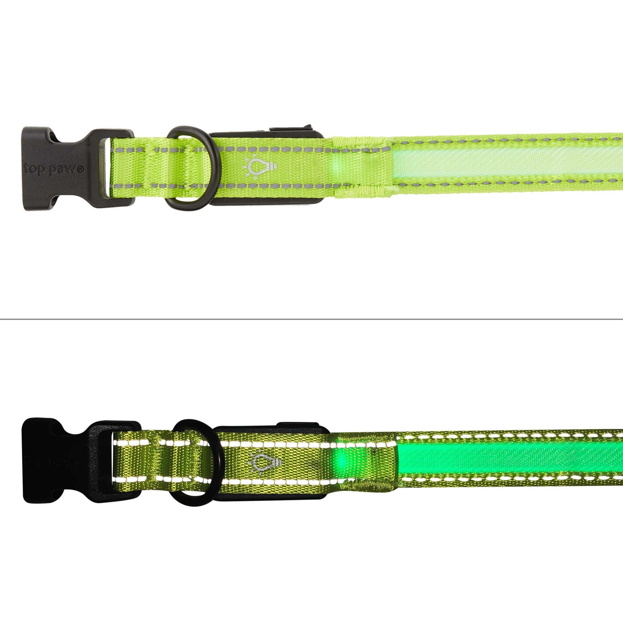 led dog collar petsmart
