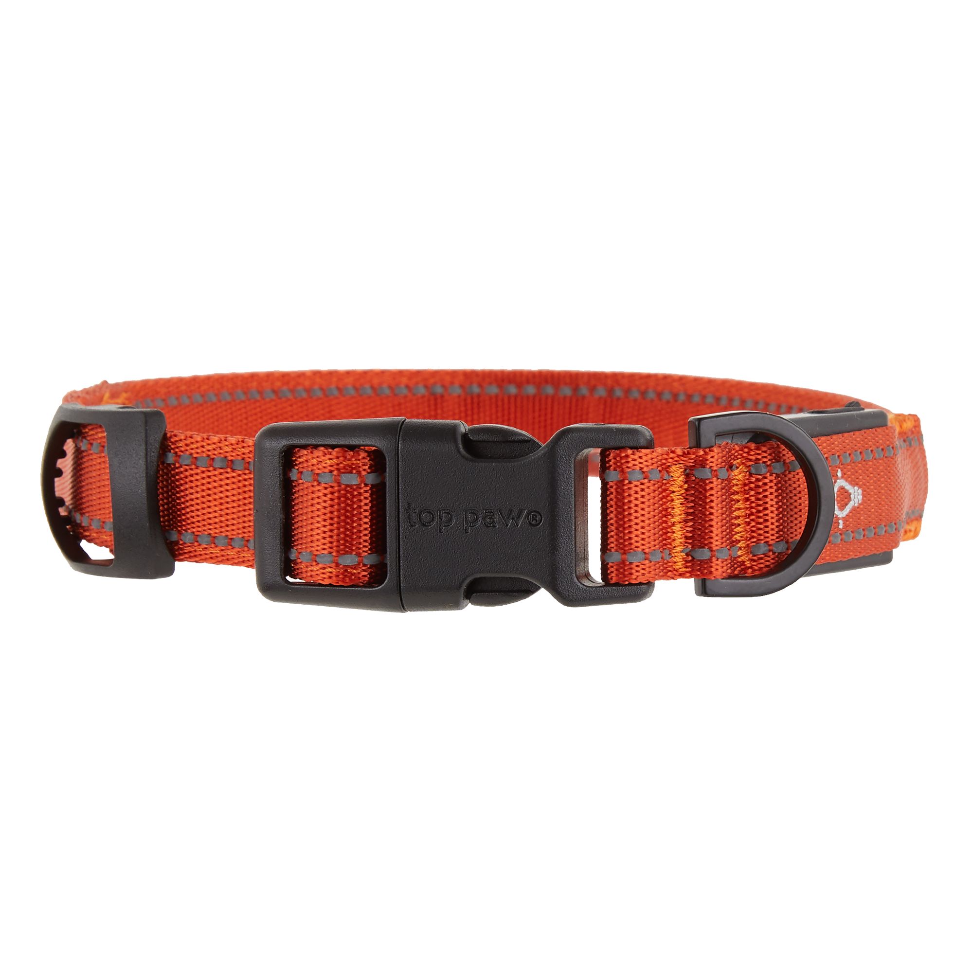 led dog collar petsmart