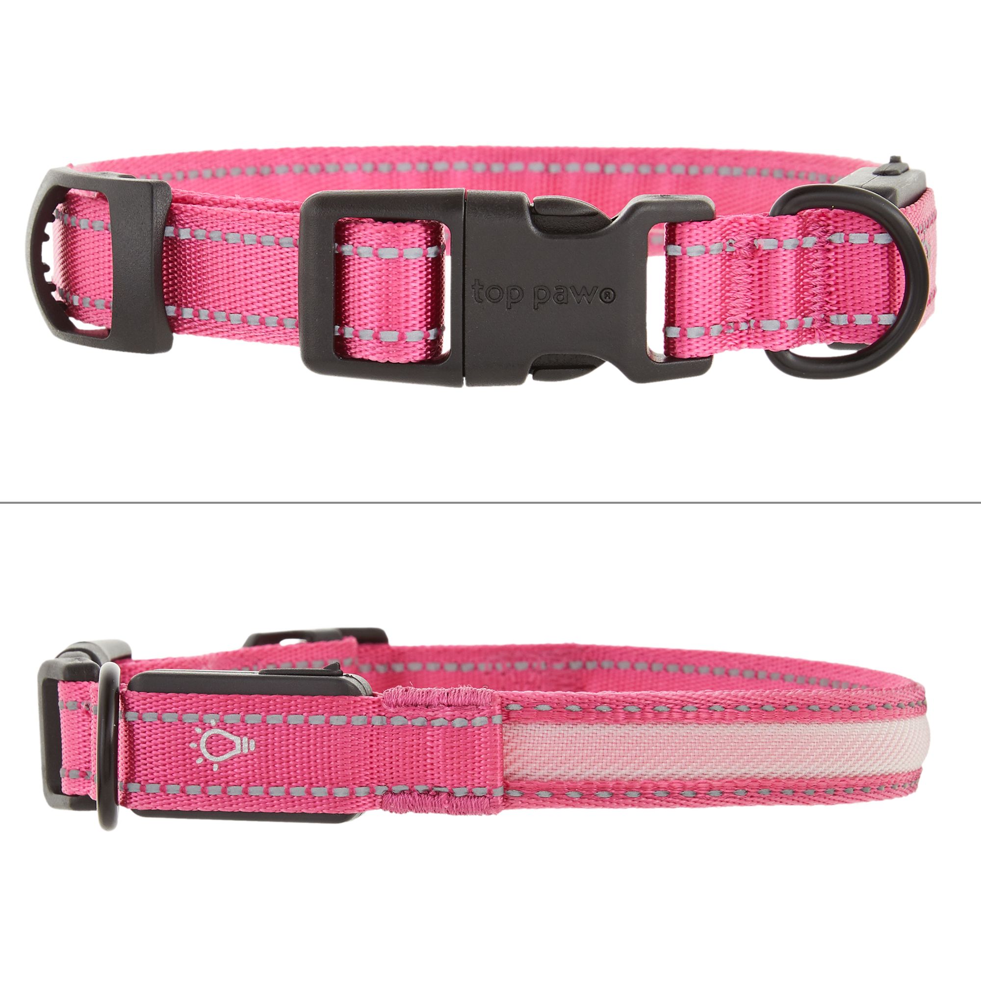 led dog collar petsmart