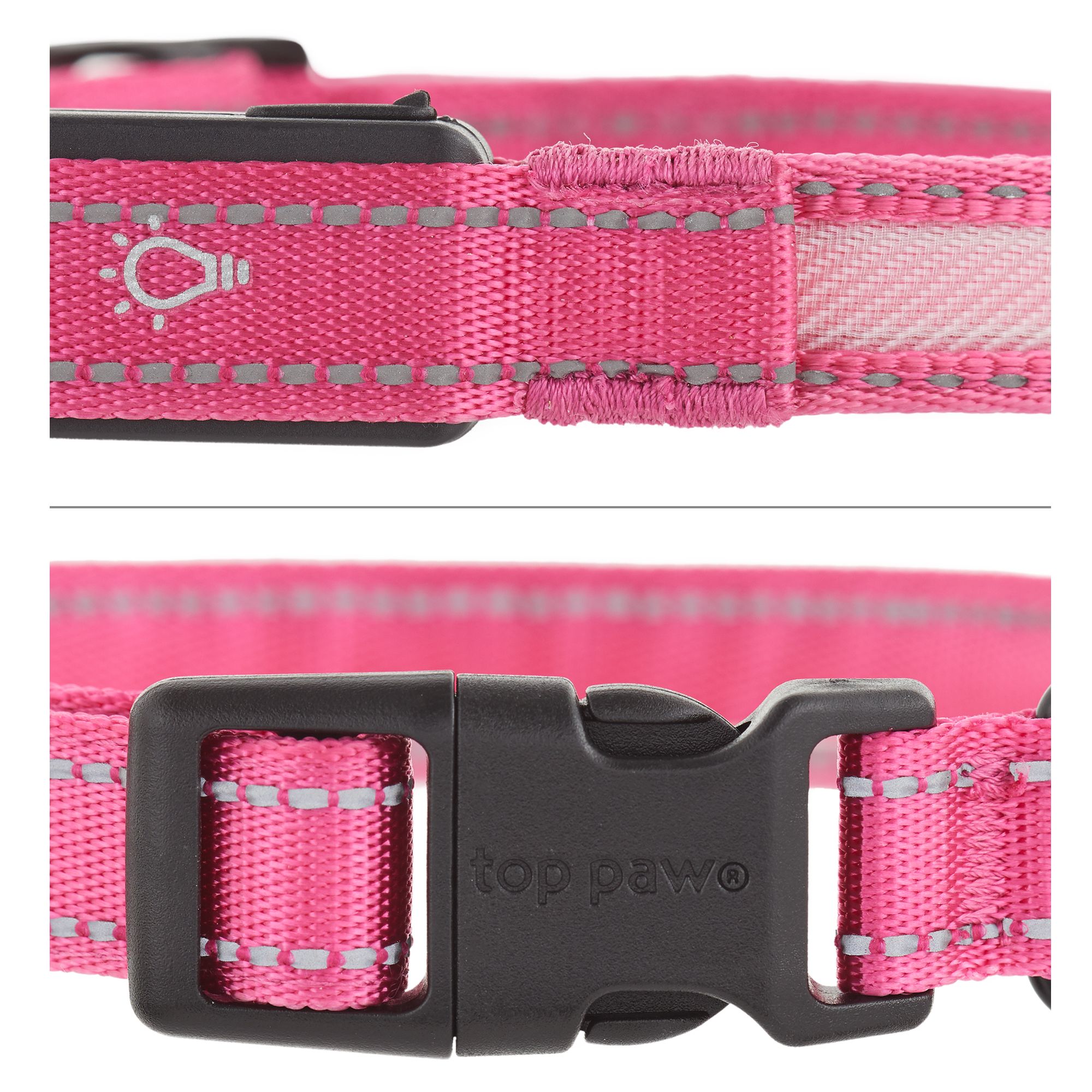 led dog collar petsmart