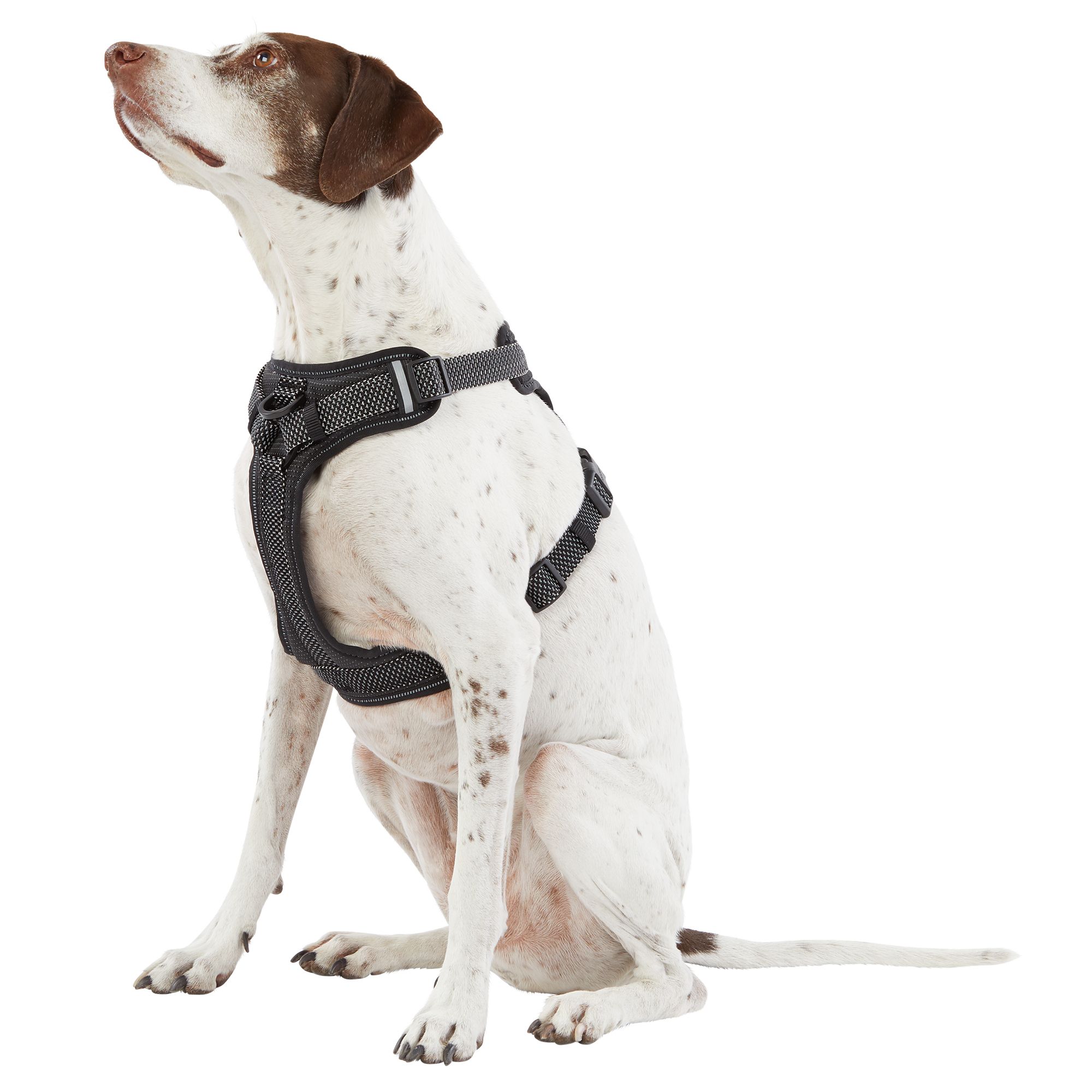 Top Paw® Ultra-Reflective Dog Harness 