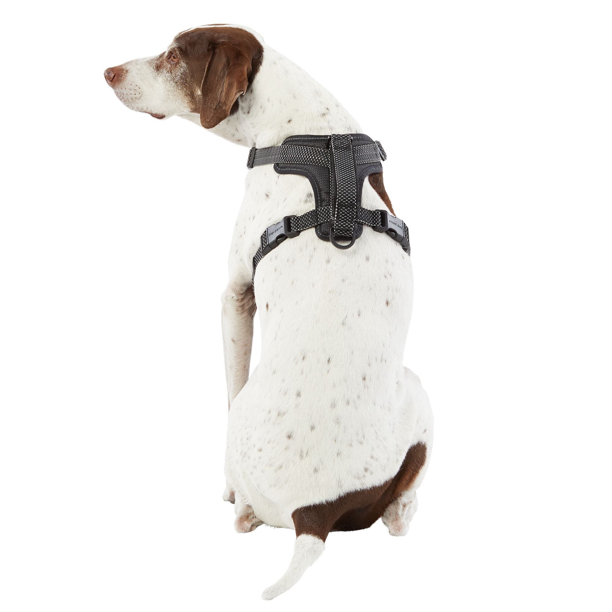 top paw reflective harness