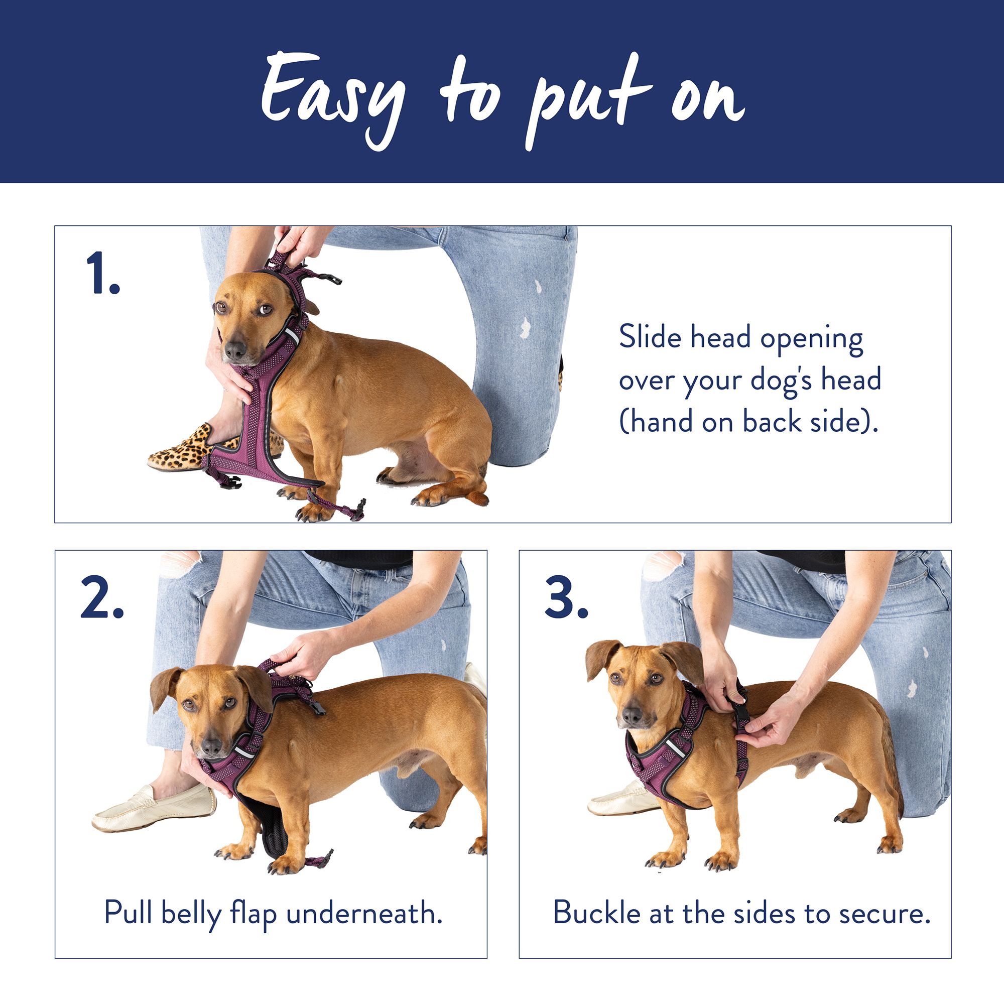 Top Paw Ultra Reflective Dog Harness PetSmart in Tustin CA The Market Place