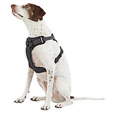 where to buy journey harness for dogs