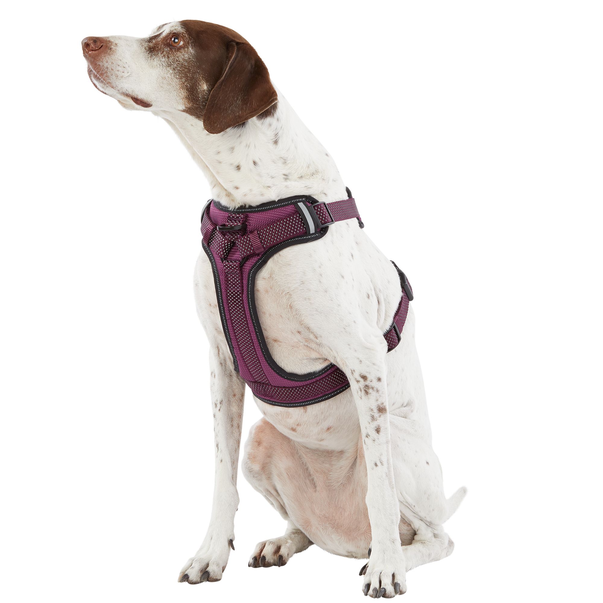 Top paw ultra sales reflective harness