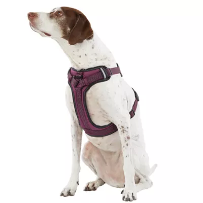 Product Top Paw® Ultra-Reflective Dog Harness