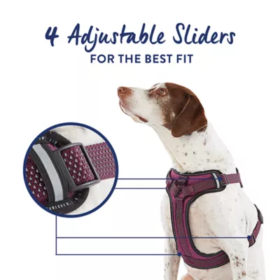 Product Top Paw® Ultra-Reflective Dog Harness