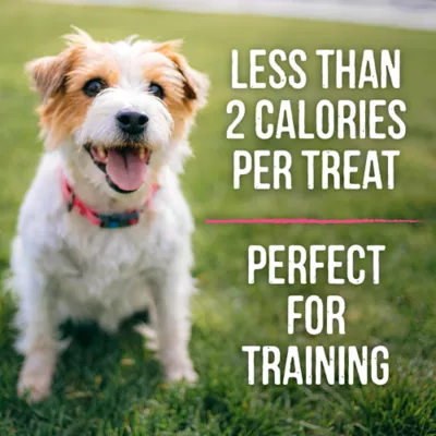 Product Merrick Lil' Plates Small Breed Bitty Beef Recipe Dog Treats, 5 Oz