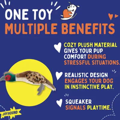 Product Joyhound® Crazy Comfy Realistic Pheasant Dog Toy - Plush, Squeaker
