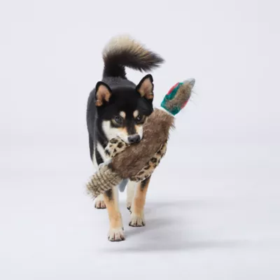 Product Joyhound Crazy Comfy Realistic Pheasant Dog Toy - Plush, Squeaker