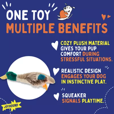 Product Joyhound Crazy Comfy Realistic Duck Dog Toy - Plush, Squeaker