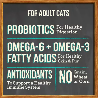 Product Merrick® Purrfect Bistro® Adult Dry Cat Food - Salmon, Grain Free, No Artificial Flavors