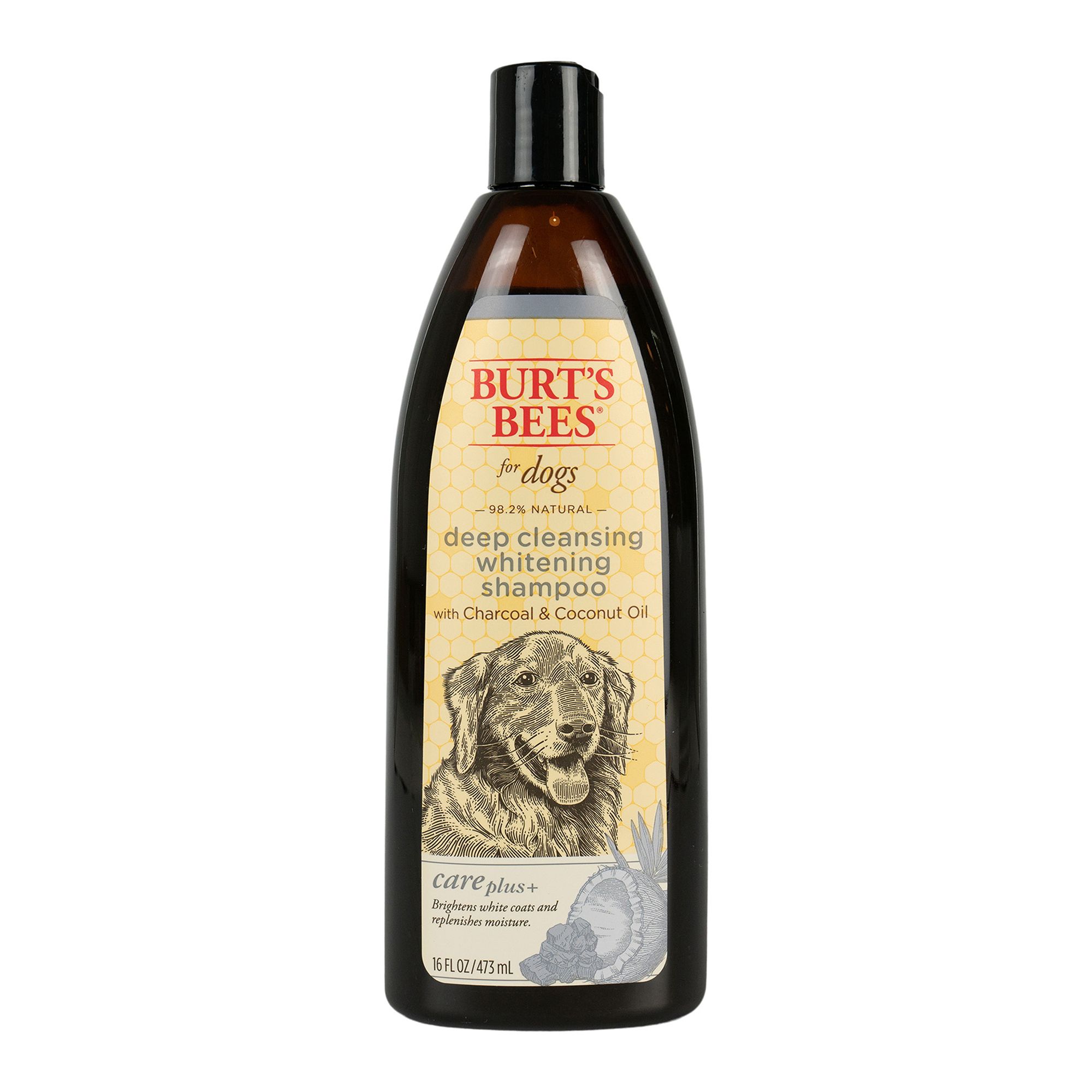 burt's bees dog shampoo