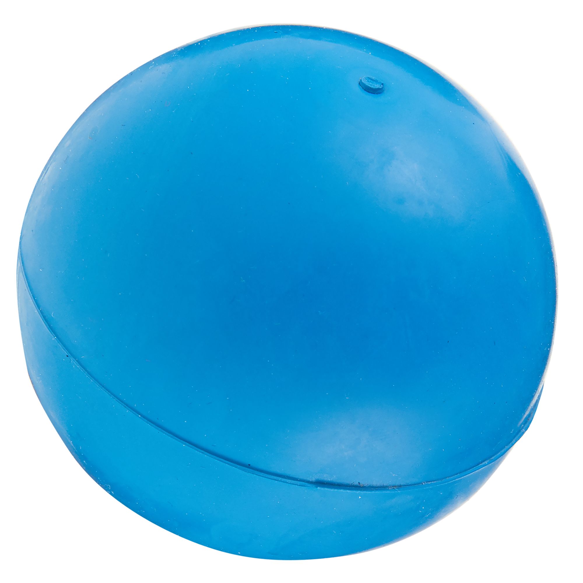 jumping ball dog toy