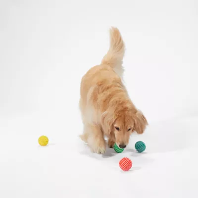 Product Joyhound® Spikey Ball Dog Toys - 4 Pack