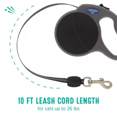 Petsmart flexi leash hotsell