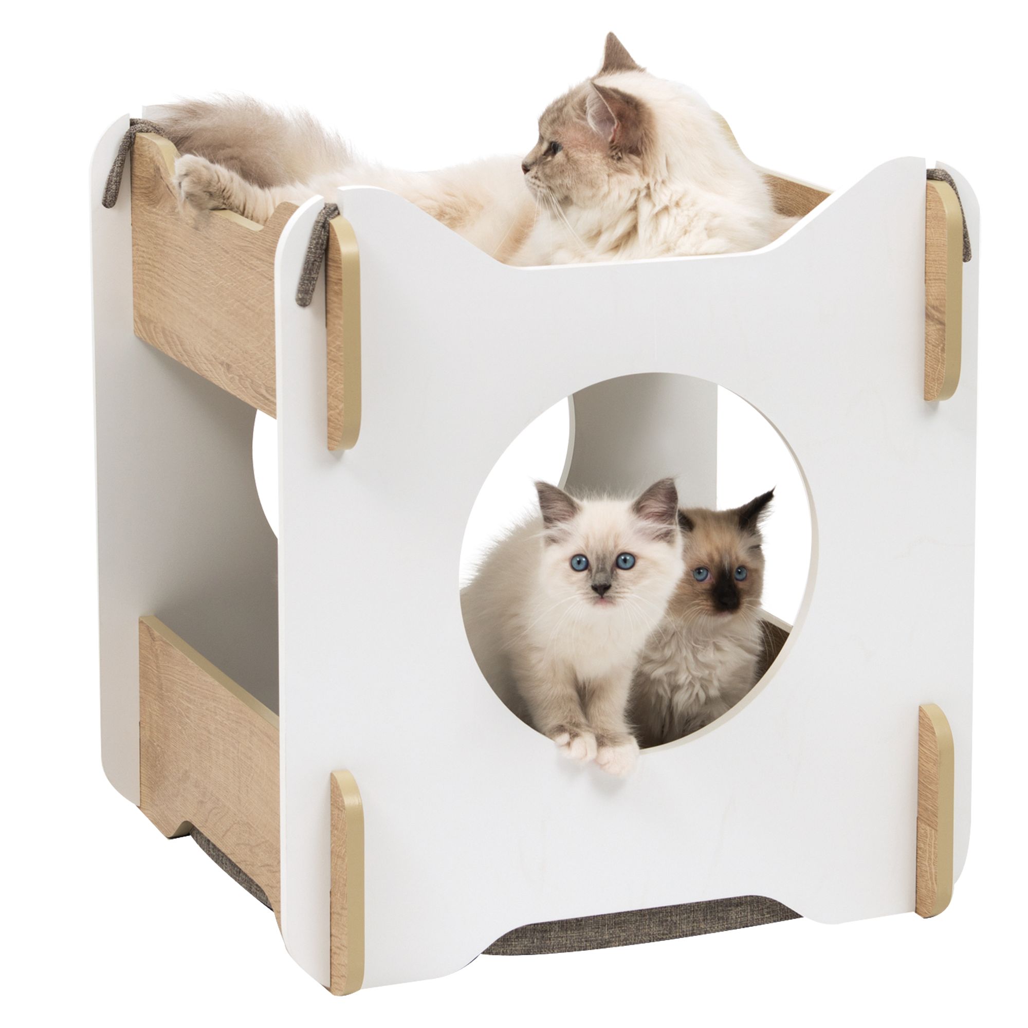 Vesper Cat Cabana cat Furniture & Towers PetSmart