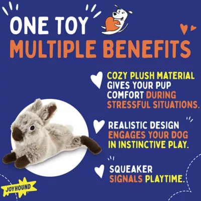 Product Joyhound Crazy Comfy Realistic Rabbit Flattie Dog Toy - Crinkle, Squeaker