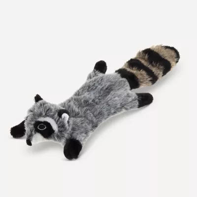 Joyhound Crazy Comfy Realistic Raccoon Flattie Dog Toy Crinkle Squeaker