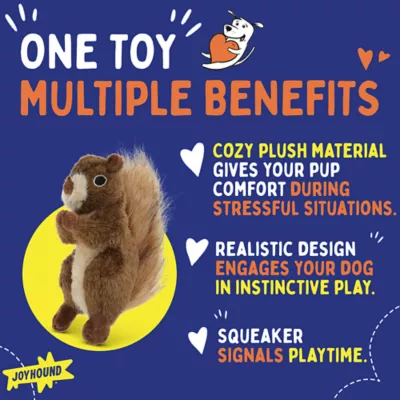 Product Joyhound Crazy Comfy Realistic Squirrel Dog Toy - Plush, Squirrel