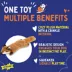 Joyhound® Crazy Comfy Realistic Fox Flattie Dog Toy - Crinkle, Squeaker image thumbnail 2