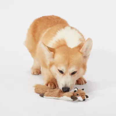 Product Joyhound® Crazy Comfy Realistic Fox Flattie Dog Toy - Crinkle, Squeaker