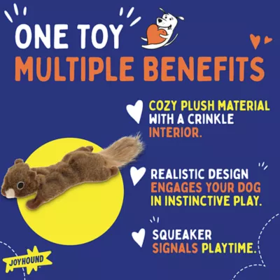 Product Joyhound Crazy Comfy Realistic Squirrel Flattie Dog Toy - Crinkle, Squeaker