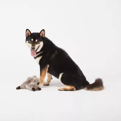 Product Joyhound® Crazy Comfy Realistic Rabbit Dog Toy - Plush, Squeaker