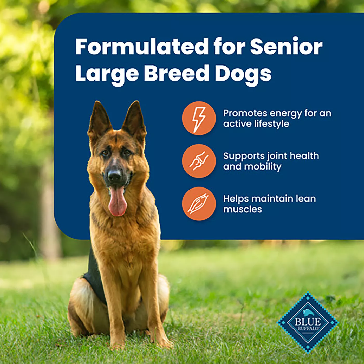 Blue Buffalo Life Protection Formula Large Breed Senior Dry Dog Food Natural Chicken