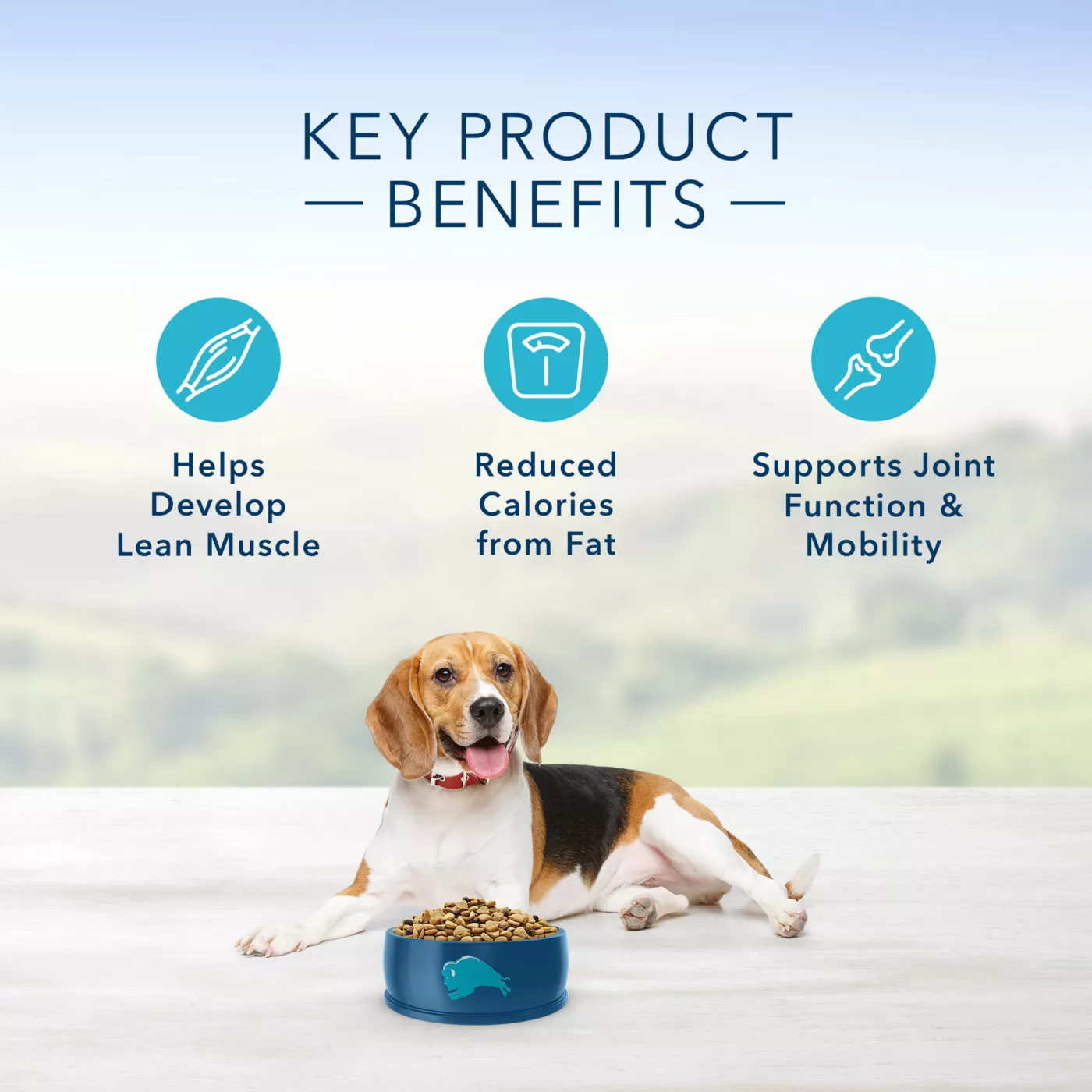 Blue buffalo low calorie dog food best sale