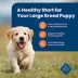 Blue Buffalo® Life Protection Formula™ Large Breed Puppy Dry Dog Food - Natural, Chicken image thumbnail 4